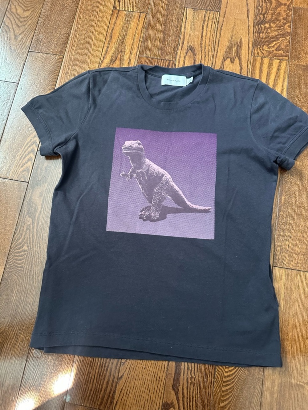 Coach Black Tee with Purple Reptile Graphic